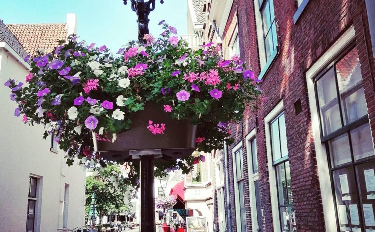 Dutch sector-wide pension funds want to open up for self-employed