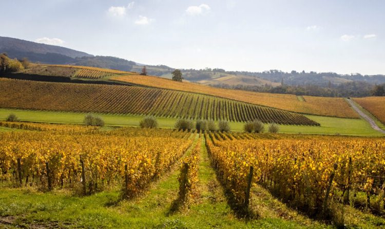 Austrian pension funds to lose 7.5% in asset value due to climate risks