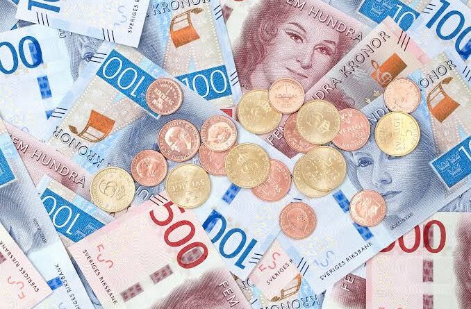 Pension Risk Between Individuals and the State : 20 Years of Swedish Experiment