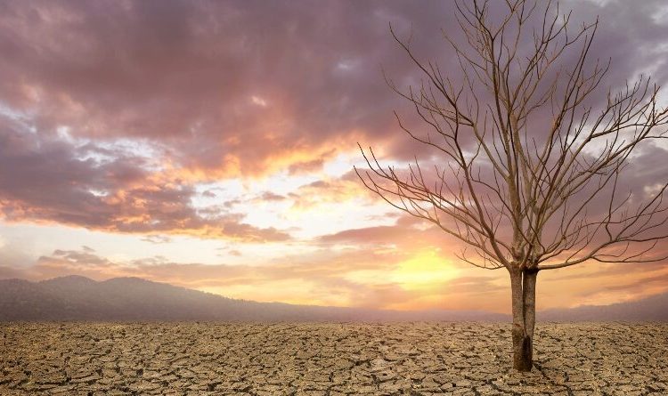 Living to 95 may impact the world as much as AI and climate change