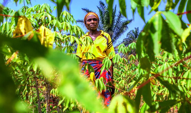 Economic hardship in Nigeria push workers swoop on their pension contributions