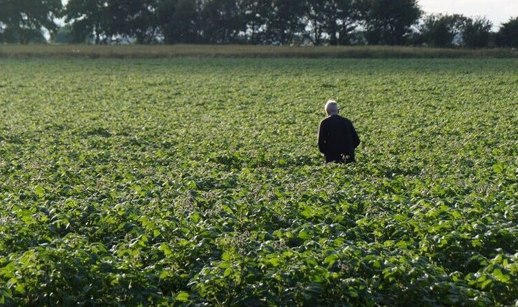 What longevity trends mean for pensions and insurers – UK as a business case